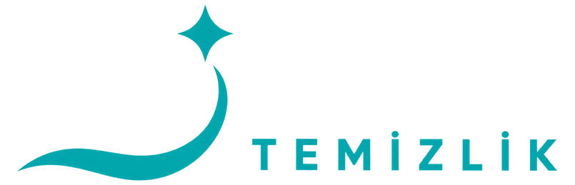 Diler Temizlik logosu